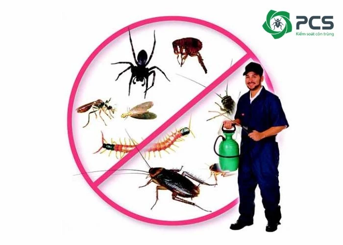 Vì sao nên sử dụng dịch vụ diệt côn trùng tại Biên Hoà?